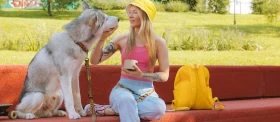 Human-animal bonding