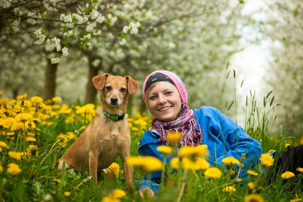 How quantum healing works with animals hero