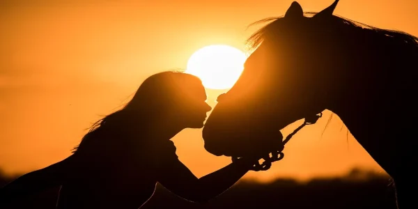 Emotional Mirroring in Pets - Quantum Healing for Animals