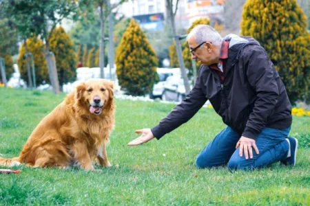 Man and pet showing how animal Communication for Pet Pain Relief works with a variety of mobility issues